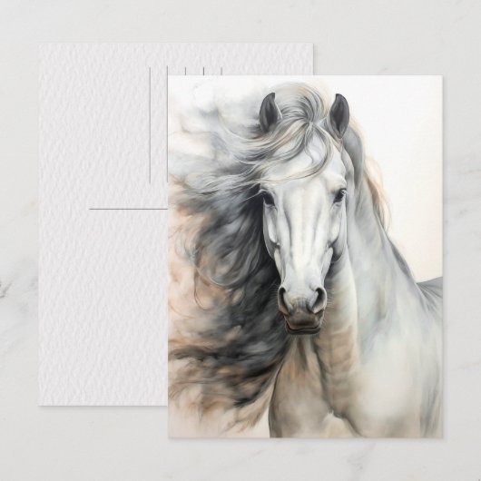 Witte Paard Illustratie Postcrossing Briefkaart (Voorkant / Achterkant)