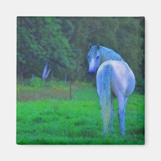 Witte Paard In Het Maanlicht Magnetische Kunst Gif Magneet (Voorkant)