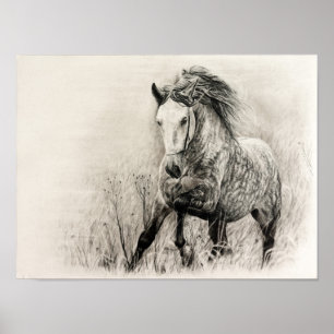 Witte paard in houtskool poster
