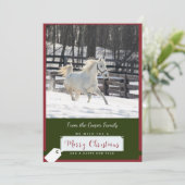 Witte Paard in Sneeuw Kerstmis Kaart (Staand voorkant)