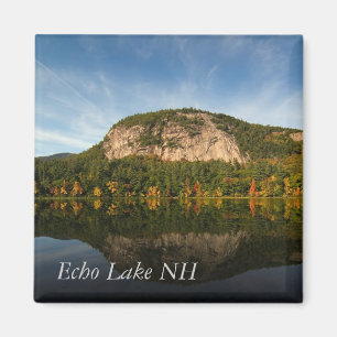 Witte Paard Ledge Magneet