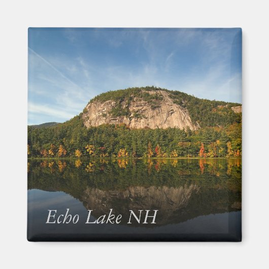 Witte Paard Ledge Magneet (Voorkant)