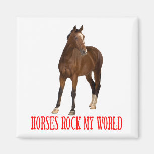 Witte Paard Liefhebber Western Paardenfokkerij Pon Magneet