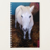 Witte paard planner (Voorkant)