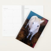 Witte paard planner (Display)