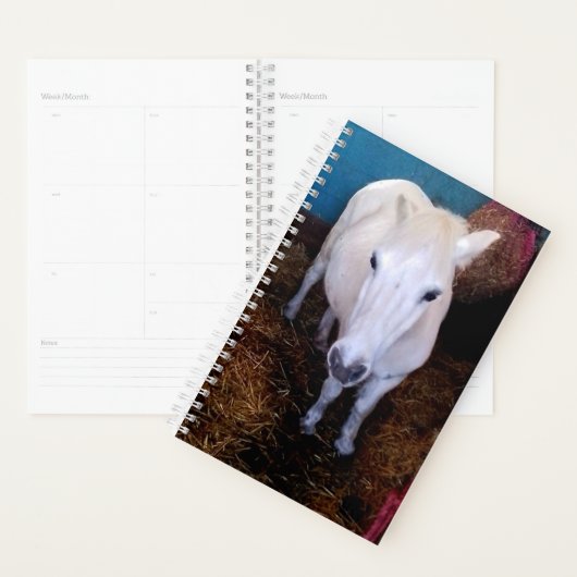 Witte paard planner (Display)