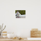 Witte Paard Poster (Keuken)
