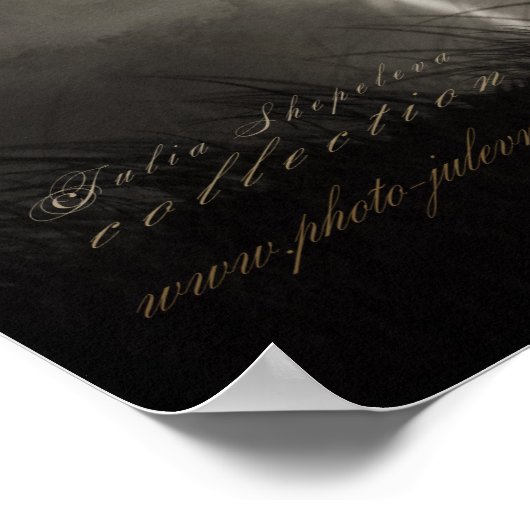 Witte paard poster (Hoek)