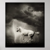 Witte paard poster (Voorkant)