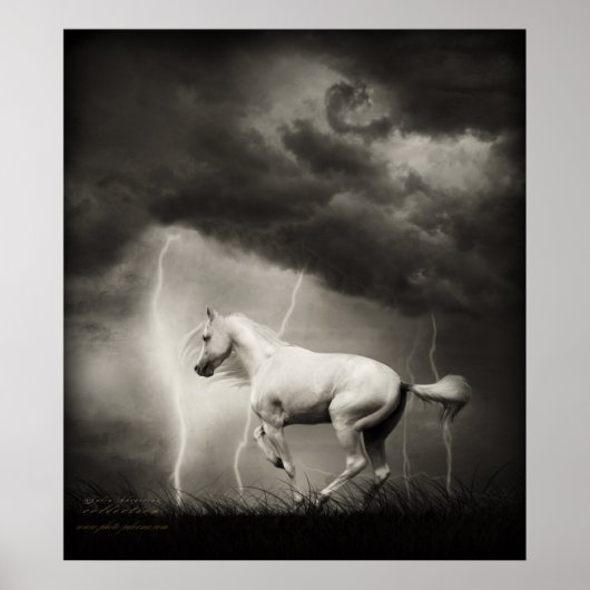 Witte paard poster (Voorkant)