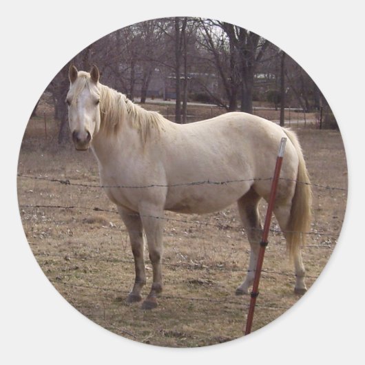 Witte Paard Stickers (Voorkant)