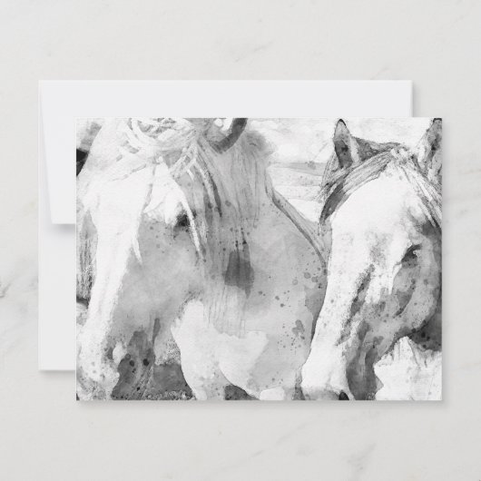 Witte Paard Uitvaart Foto Dank u Kaarten (Achterkant)