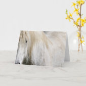 Witte paard verjaardag kaart (Gele Bloem)