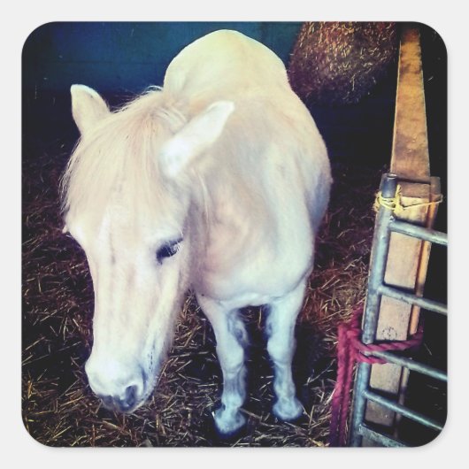 Witte paard vierkante sticker (Voorkant)