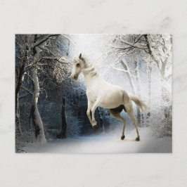 Witte Paard Winterbos Postcrossing Briefkaart