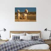 Witte paarden aan boord | Camargue, Frankrijk Canvas Afdruk (Insitu (Slaapkamer))
