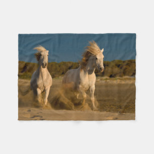 Witte paarden aan boord   Camargue, Frankrijk Fleece Deken