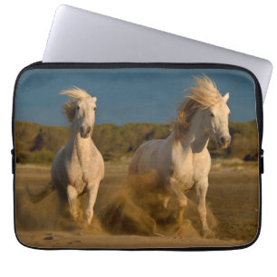 Witte paarden aan boord   Camargue, Frankrijk Laptop Sleeve