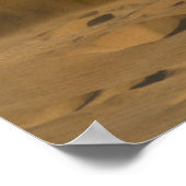 Witte paarden aan boord | Camargue, Frankrijk Poster (Hoek)