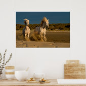 Witte paarden aan boord | Camargue, Frankrijk Poster (Keuken)