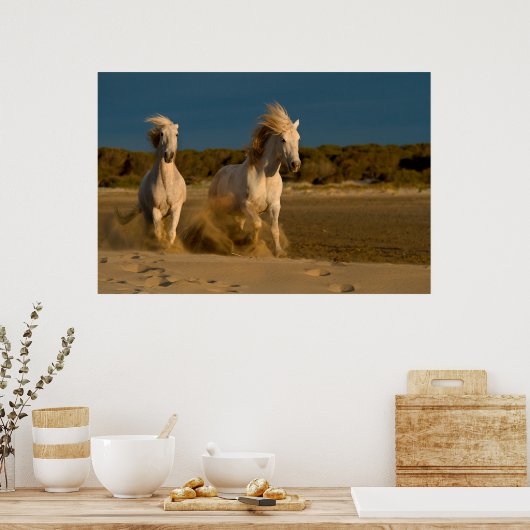 Witte paarden aan boord | Camargue, Frankrijk Poster (Keuken)