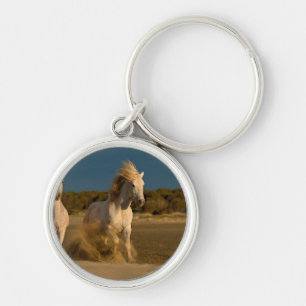 Witte paarden aan boord Camargue, Frankrijk Sleutelhanger