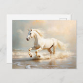 Witte paarden aan de strand briefkaart (Voorkant / Achterkant)