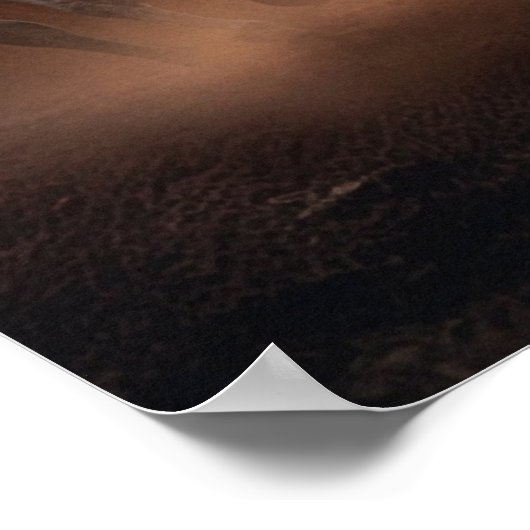 Witte paarden bij zonsondergang poster (Hoek)