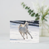 Witte paarden die op sneeuw lopen briefkaart (Staand voorkant)