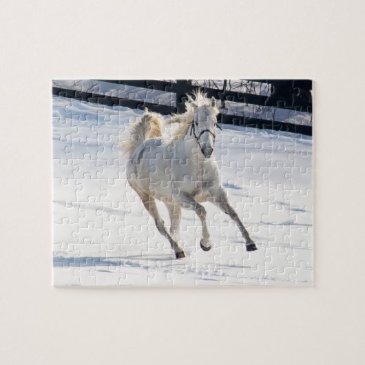 Witte paarden die op sneeuw lopen legpuzzel (Horizontaal)