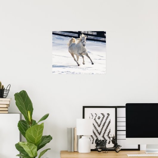 Witte paarden die op sneeuw lopen poster (Thuiskantoor)