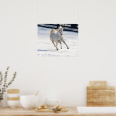 Witte paarden die op sneeuw lopen poster (Keuken)