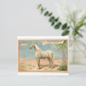  witte paarden Grafisch Briefkaart (Staand voorkant)