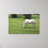 Witte paarden grazen in een veld canvas afdruk (Voorkant)