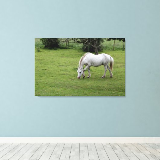 Witte paarden grazen in een veld canvas afdruk (Insitu (Houten vloer))