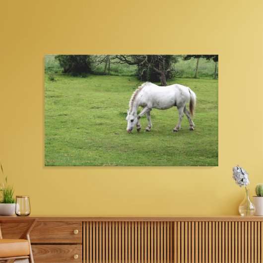Witte paarden grazen in een veld canvas afdruk (Insitu (Woonkamer))