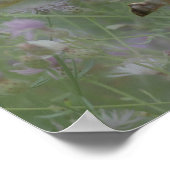 Witte paarden in bloemen poster (Hoek)