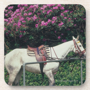 Witte paarden in een tuin onderzetter