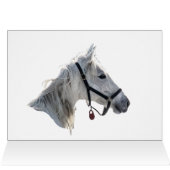 Witte paarden in sneeuw (Binnen Horizontaal (Boven))