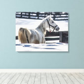 Witte paarden in sneeuw canvas afdruk (Insitu (Houten vloer))
