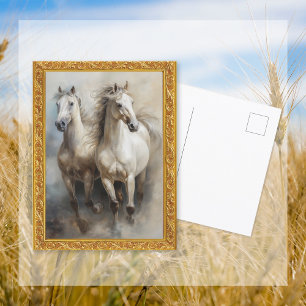 Witte paarden lopen Briefkaart