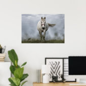 Witte paarden lopen poster (Thuiskantoor)