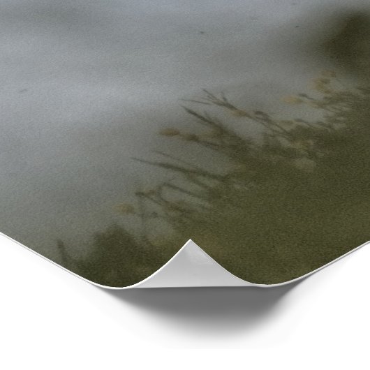 Witte paarden lopen poster (Hoek)