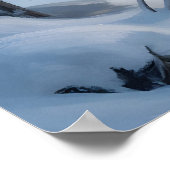 Witte paarden onder het noorderlicht in een winter poster (Hoek)