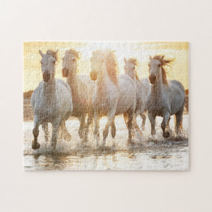 Witte paarden op strand op zonsondergang legpuzzel