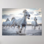 Witte paarden poster (Voorkant)