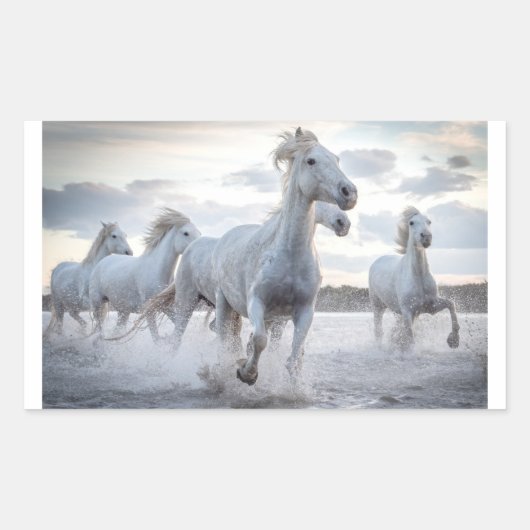 Witte paarden rechthoekige sticker (Voorkant)