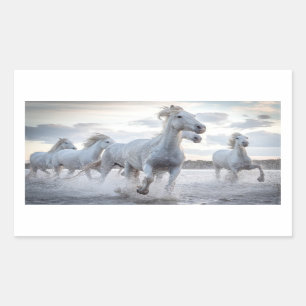 Witte paarden rechthoekige sticker