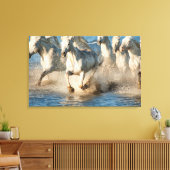 Witte paarden van Camargue, Frankrijk Canvas Afdruk (Insitu (Woonkamer))