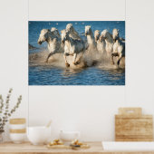 Witte paarden van Camargue, Frankrijk Poster (Keuken)